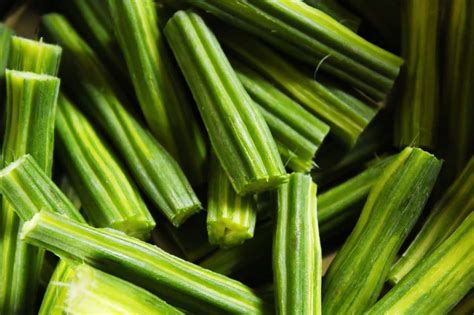 What is Moringa and Its Different Types of Moringa Names– Ruchi Veda