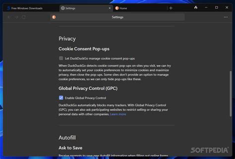 DuckDuckGo Internet Explorer 的图像结果