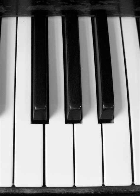 Free Piano Keys Stock Photo - FreeImages.com
