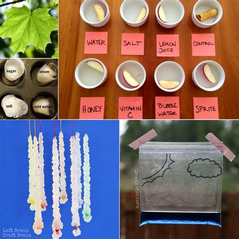 Science Fair Experiments 的图像结果