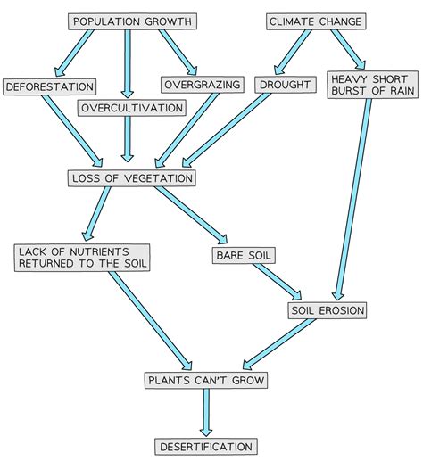 Desertification and Soil Erosion IGCSE - Revision Notes