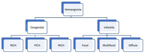 Update on the Pathology of Pediatric Liver Tumors: A Pictorial Review