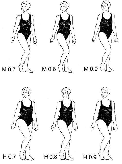 Image result for How Do Humans Mate Images