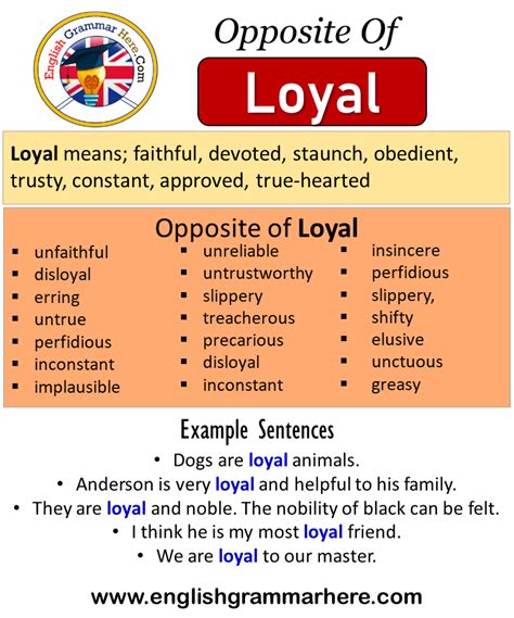 Opposite Of Loyal, Antonyms of Loyal, Meaning and Example Sentences ...