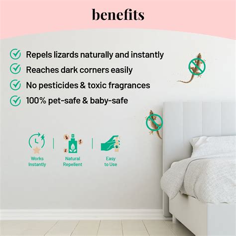 Plant-based Lizard Repellent Spray – BornGood