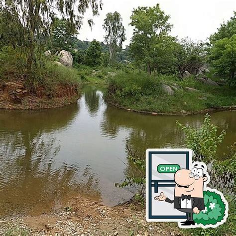 Rocky Ridge Cafe, India, Survey No. 74/3 - Restaurant reviews