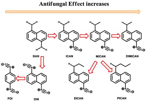 Antifungal Activity of an Original Amino-Isocyanonaphthalene (ICAN ...