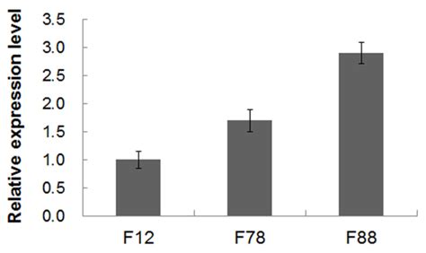 Seed-Specific Expression of a Lysine-Rich Protein Gene, GhLRP, from ...