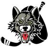 Chicago Wolves | Livescore.in