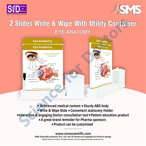 Eye Anatomy - 2 Slide Write Wipe With Utility Container – SMS ...