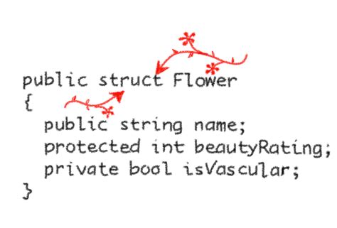 code c struct 的图像结果