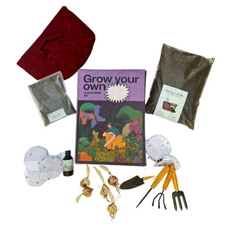 Grow Beautiful Asiatic Lilies at Home - AllThatGrows Bulb Growing Kit