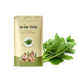 Growtime Spinach Malabar (Poi Sagh) Vegetable Seeds, Vegetable Seeds ...