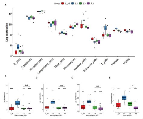 Image result for Cell Type Gene Expression