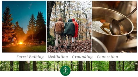 Revive - A morning of Forest Bathing, grounding and Mindfulness ...