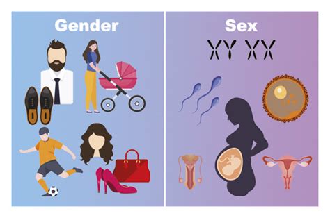 Sex and Gender Differences in the Pharmacology of the Overactive Urinary Bladder | Springer Nature L
