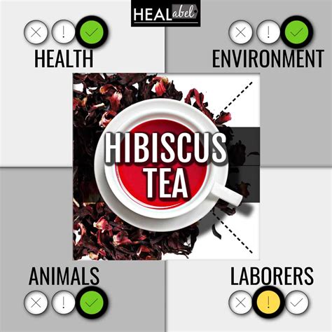 Hibiscus Flower Tea Side Effects | Best Flower Site