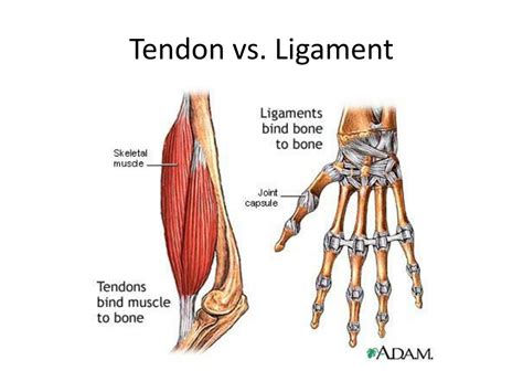 Image result for Targeted Training Programs