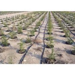 Micro Irrigation System - 4000 Sq m Spray Irrigation Kit Manufacturer ...