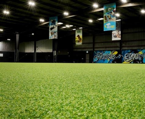 Hockey Grass 的图像结果