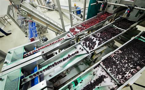 Process Food 的图像结果