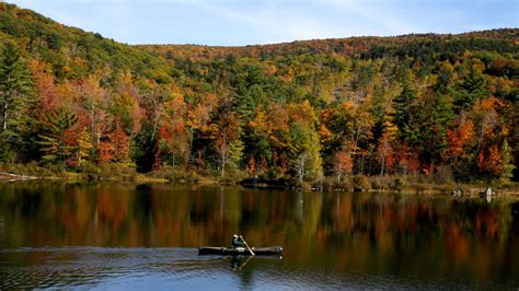 Fall foliage map 2025: Where to see the brilliant colors of autumn ...
