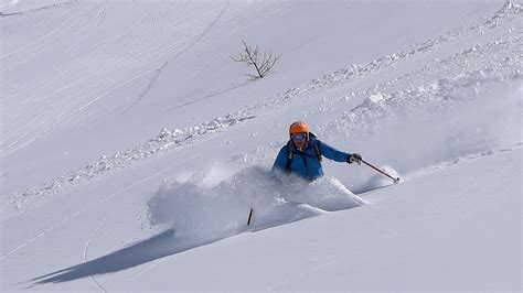 Expert Ski Tutorials 的图像结果