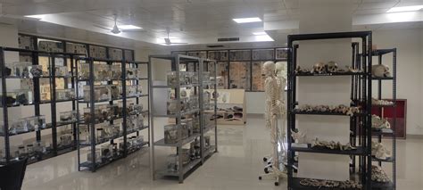 forensic
