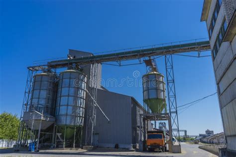 Grain Loading Layout 的图像结果