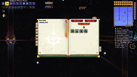 Summoner Build Calamity Mod 的图像结果