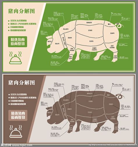 猪肉分解图设计图__展板模板_广告设计_设计图库_昵图网nipic.com