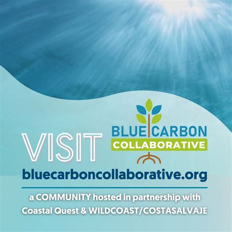 Ready for some good climate news from the Blue Carbon Collaborative ...