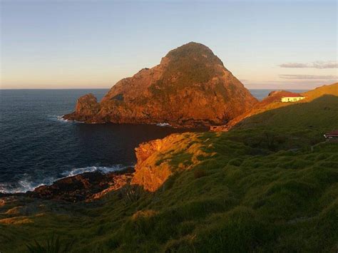 Urupukapuka Island Tourism: All You Need to Know Before You Go (2025)