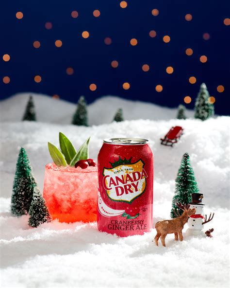Cranberry Chill Recipe with Canada Dry | White Rum and Ginger Ale Cocktail