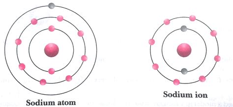 Subjects | Study Isle
