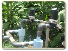 Banana Expert System