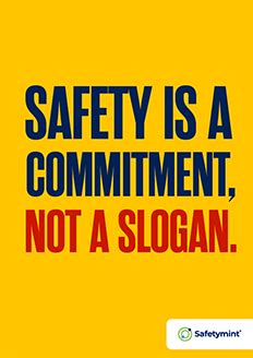 Safety Management Audit 的图像结果