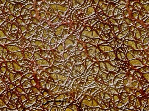 Alien Overlay Texture 的图像结果