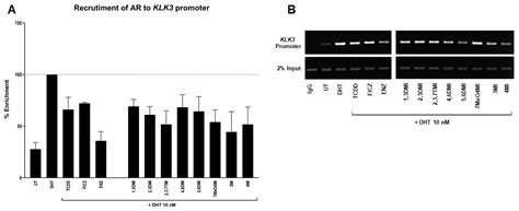 The Impact of Indoles Activating the Aryl Hydrocarbon Receptor on ...