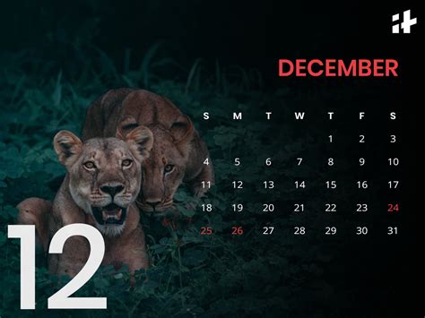 Long Weekends In 2022: On These Dates, You Can Plan Mini Vacations This ...