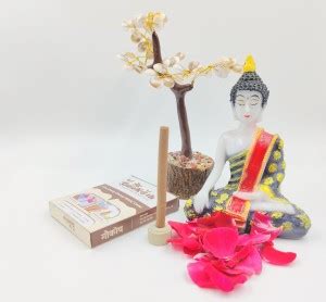 Gaukosh Vedic Cow dung Dhoop Batti Rose Rose Price in India - Buy ...