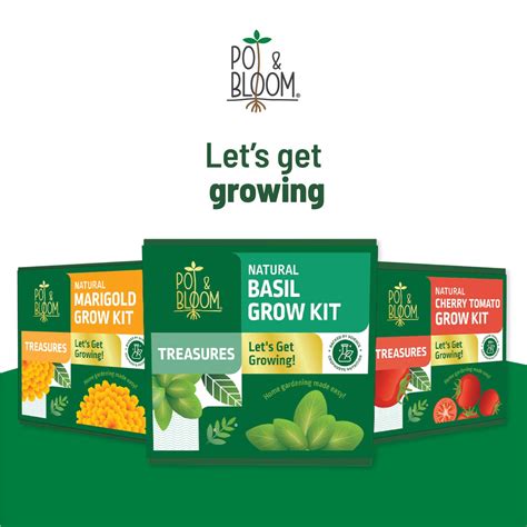 Treasures Basil Kit – Ugaoo