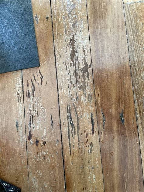 Hardwood Floor Damage - How to fix? : r/AusRenovation