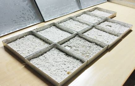 Research Areas | CSIR - National Institute For Interdisciplinary ...