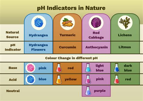 Image result for Using pH Indicators