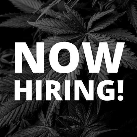 Now Hiring! – Hotbox Farms