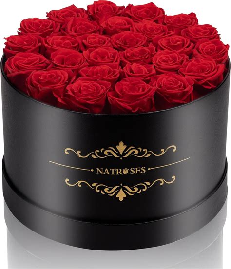 NATROSES 27 Piece Forever Preserved Roses in a Box, Preserved Flowers ...