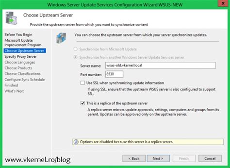 Image result for WSUS Server Address Example