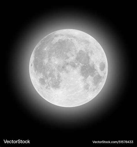 Full Moon - Realistic & Detailed Royalty Free Vector