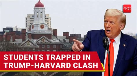 Harvard’s International Students Get Trapped In Trump Visa Crossfire ...